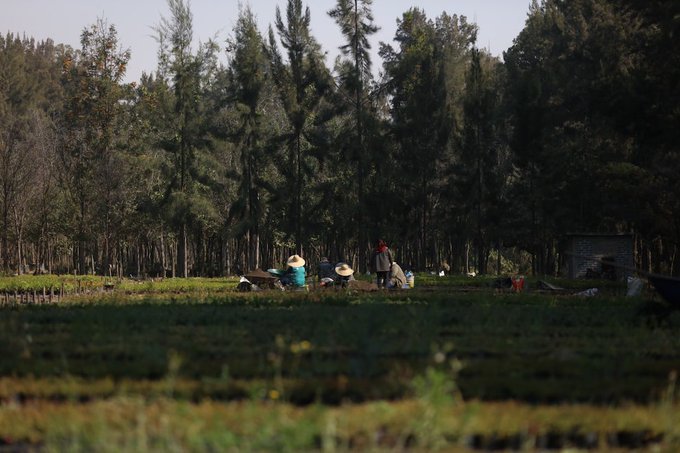 Logran en Xochimilco suspensión definitiva para la construcción de instalaciones de la Guardia Nacional
