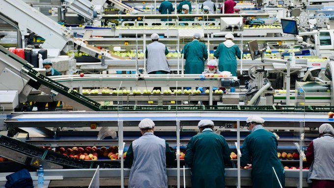 Cae la producción industrial, pero avanza el consumo privado