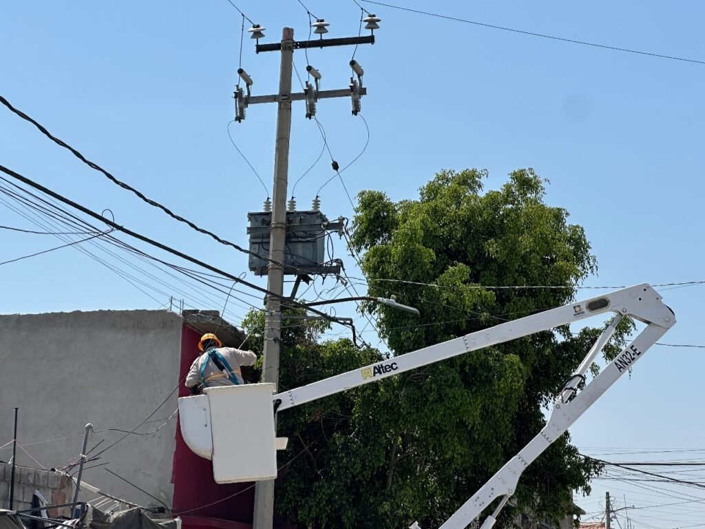 Vecinos denuncian cobros por poda de árboles en Chimalhuacán