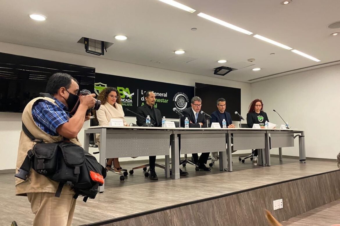 Animales en la agenda legislativa; van por ley para su protección