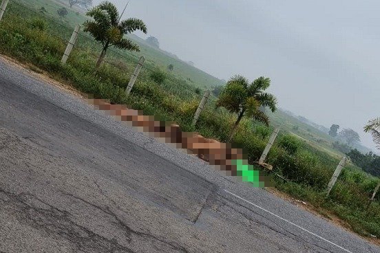 Abandonan 9 cuerpos desnudos en autopista La Tinaja, Veracruz