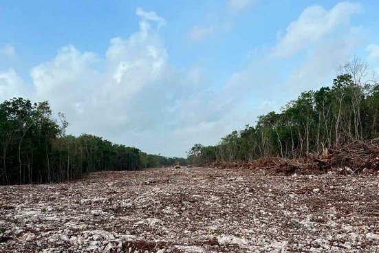 Expropian 138.3 hectáreas por obras del Tren Maya