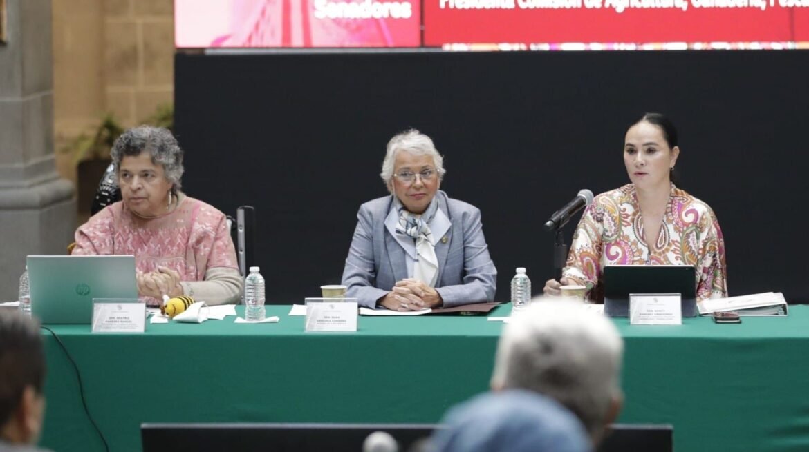 Campo, solución vs inflación y dependencia de alimentos básicos