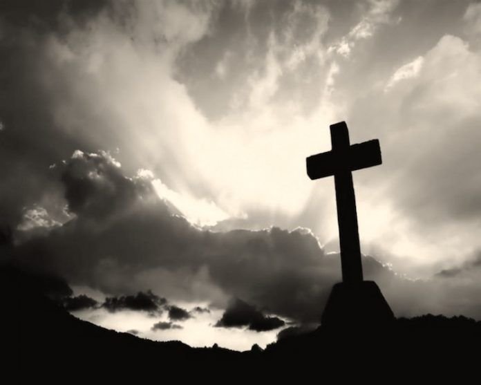 Yo Campesino / Oremos México - Opinión
