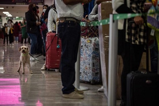 EU pide no ir a seis estados de México por riesgo de delincuencia y secuestro