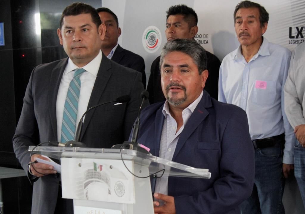 Urge Armenta a proteger bosques nacionales atacados por plagas descortezadoras