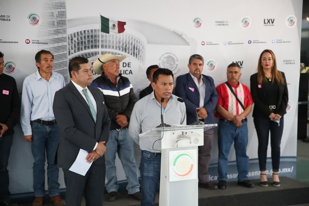 Urge Armenta a proteger bosques nacionales atacados por plagas descortezadoras