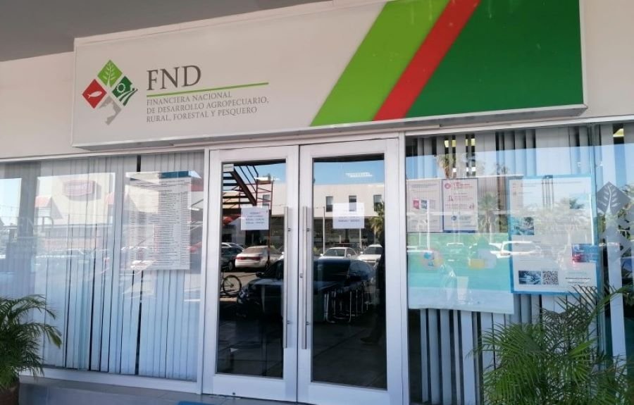 La liquidación de Financiera Rural, otro golpe a las instituciones