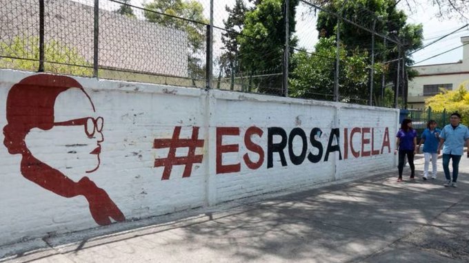 Interponen denuncia por bardas de la campaña #EsRosaIcela