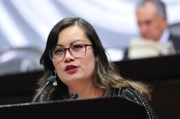 Presentan iniciativa de ley en Cámara de Diputados para incluir la discriminación laboral por embarazo como violencia de género