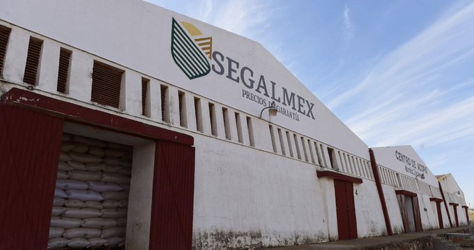 Lo amenaza, pero lo protege: Ignacio Ovalle no tiene la culpa