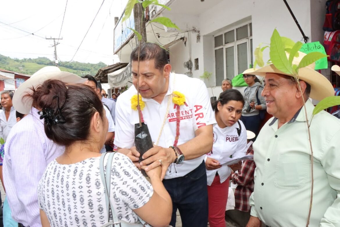 Favorecen a Armenta preferencias electorales para la gubernatura de Puebla