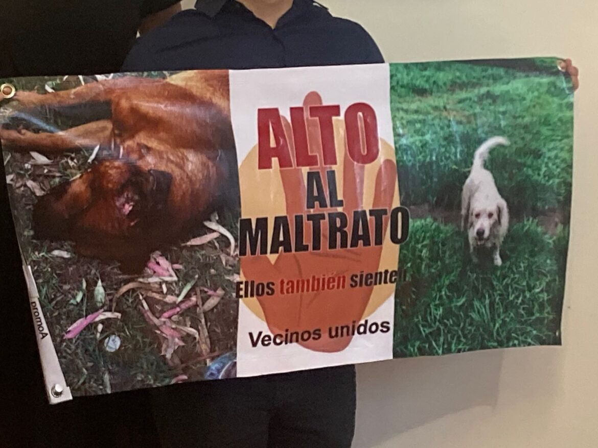 Torturan y matan a perros en bosque de Xochimilco: PAN