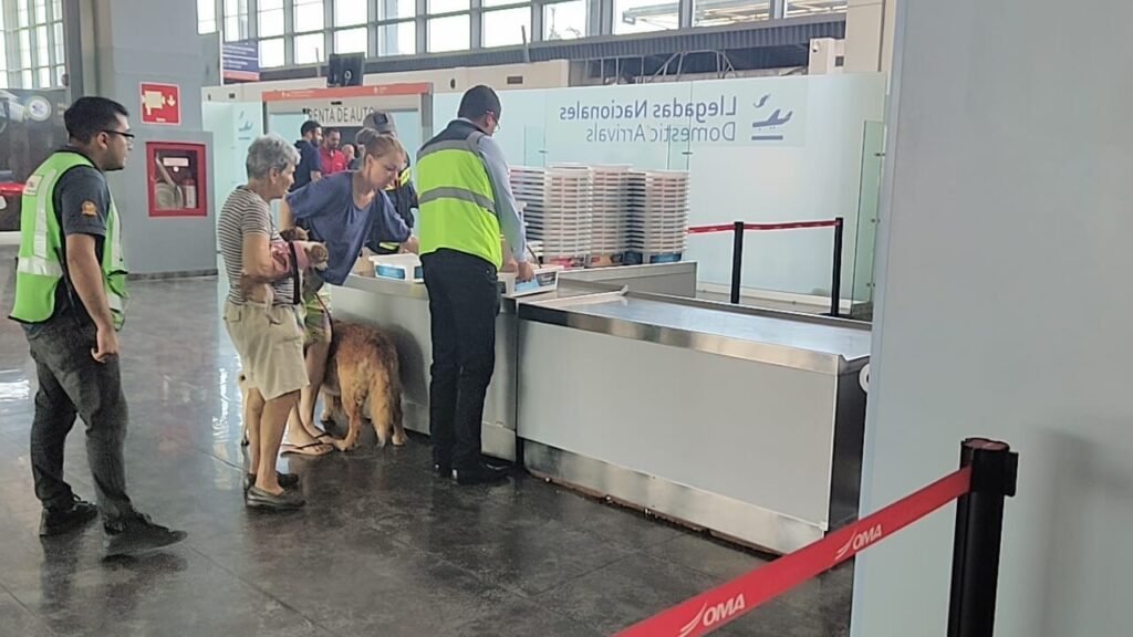 Esperan pronto restablecimiento de operaciones en Aeropuerto de Acapulco