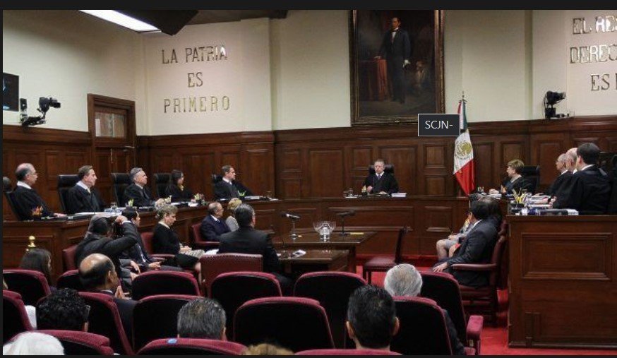 Yo Campesino / Viles borregos - Opinión