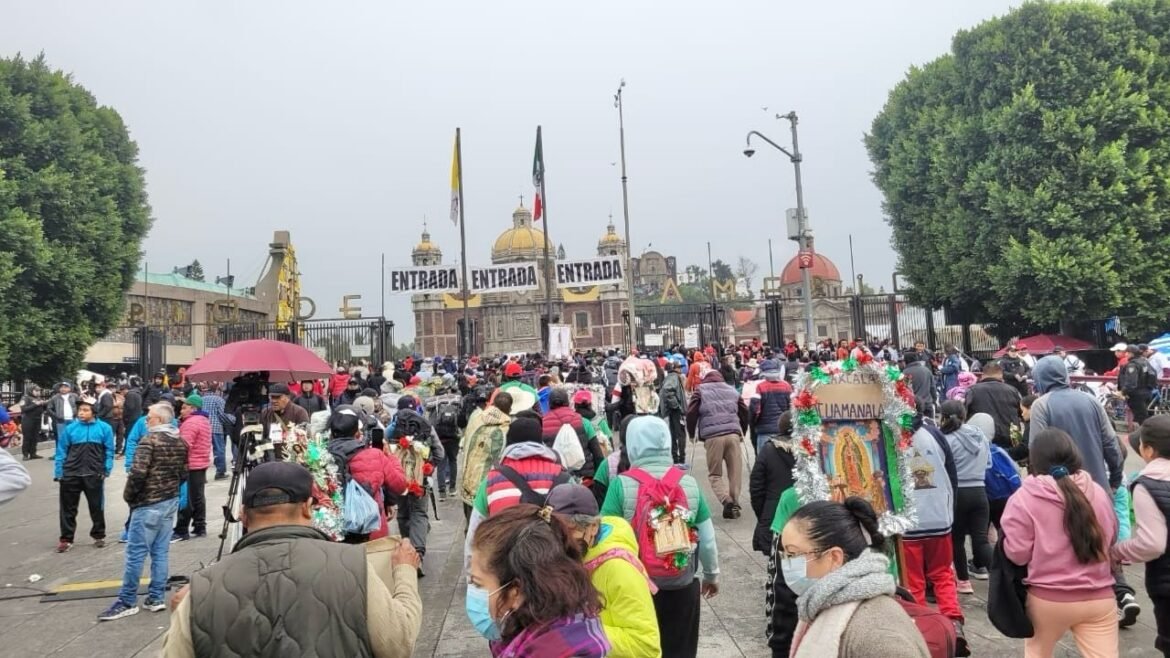 Esperan comerciantes derrama de 15 mil 500 mdp por celebración a la Vírgen de Guadalupe