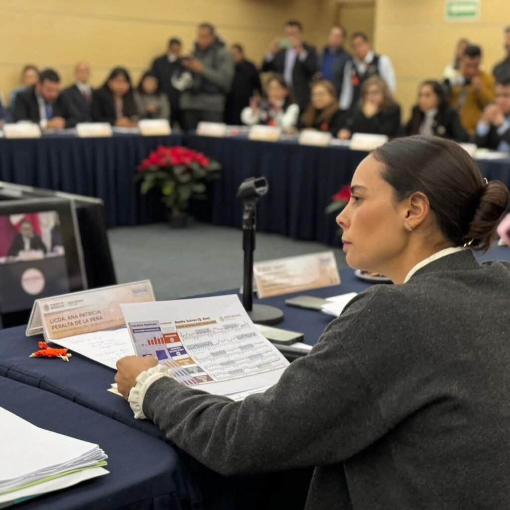 Ana Patricia Peralta suma coordinación estratégica con seguridad nacional, para erradicar la la violencia de género