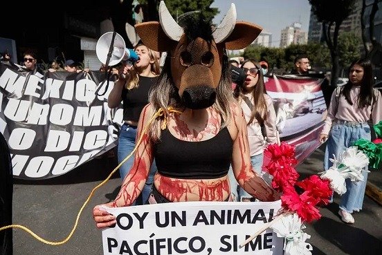 Activistas protestan en la Plaza México contra corridas de toros