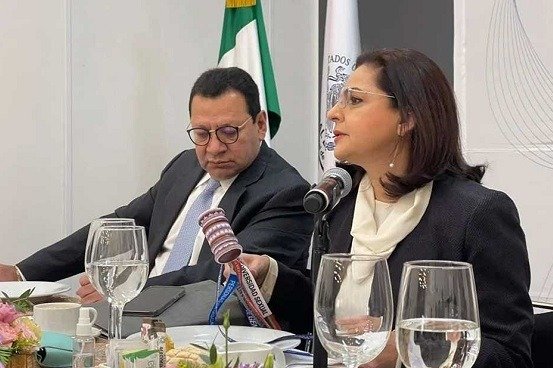 Llama el TEPJF respetar las restricciones de las Elecciones 2024