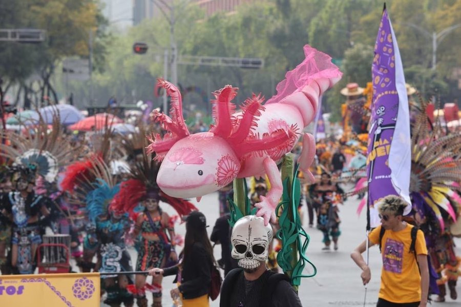 Se realiza desfile por el Día de Muertos en la Ciudad de México