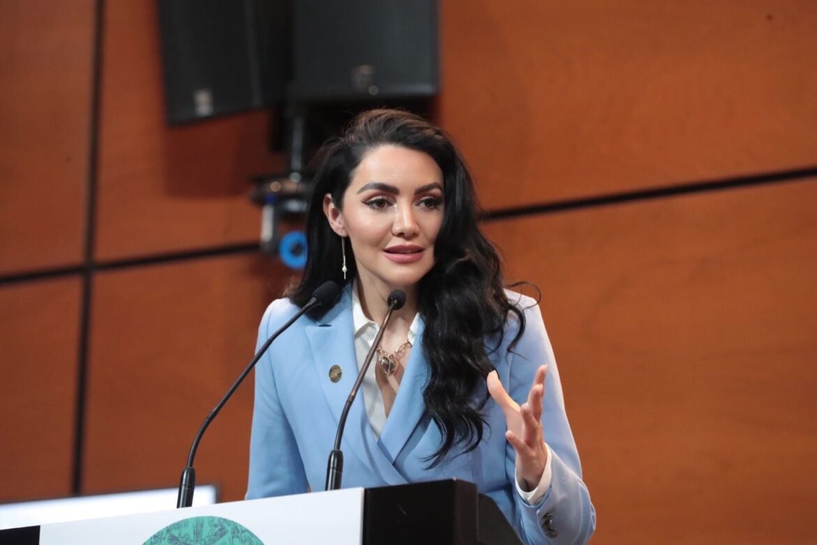 Se aprobará un ahorro por 100 mil mdp en la Cámara de Diputados, anuncia vicecoordinadora de Morena, Gabriela Jiménez Godoy