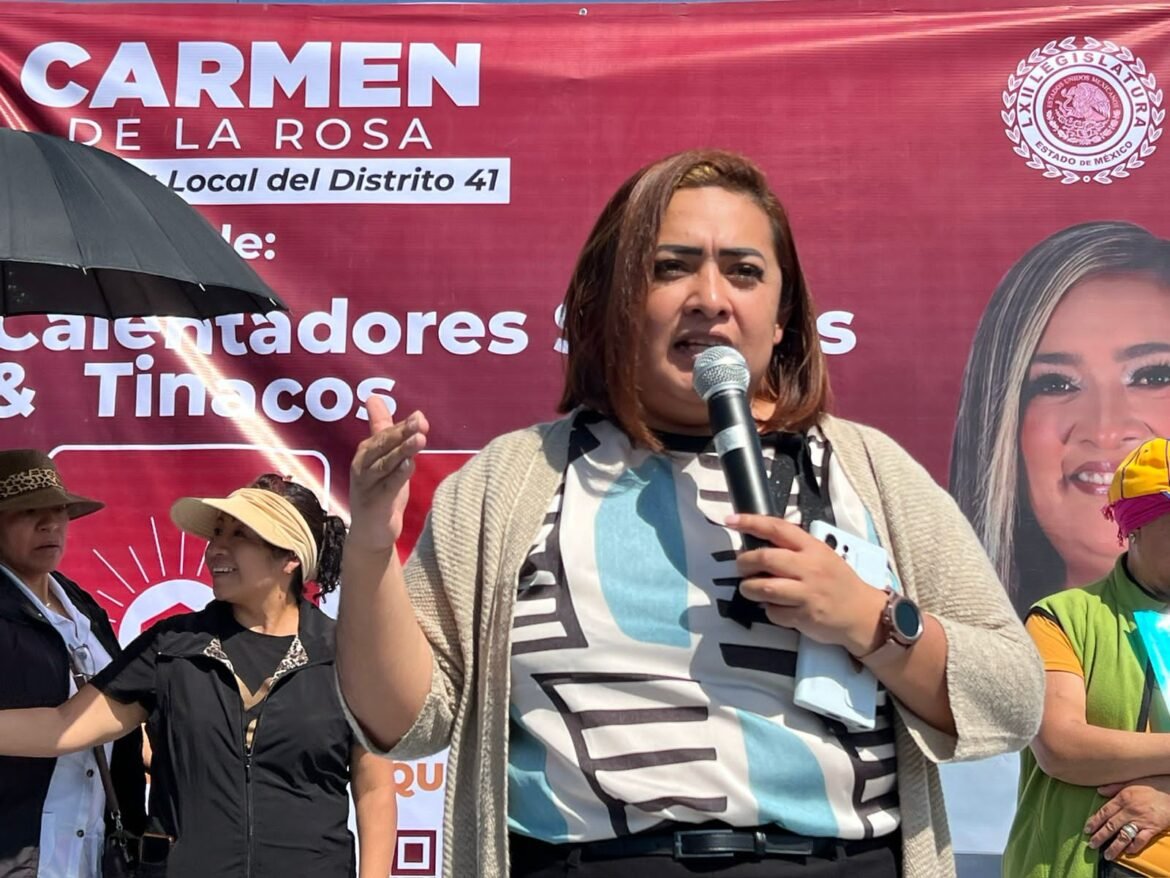 Diputada impulsa programas Ecohogar y Aquahogar para un Nezahualcóyotl más sustentable