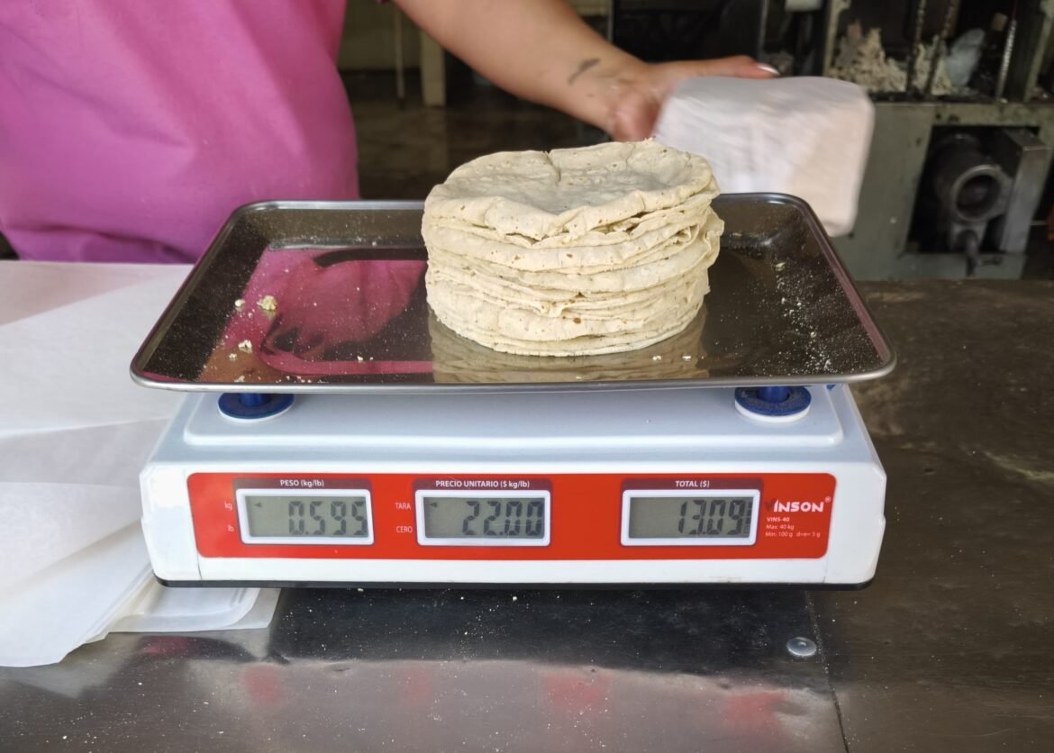 Sheinbaum anuncia plan para reducir el precio de la tortilla