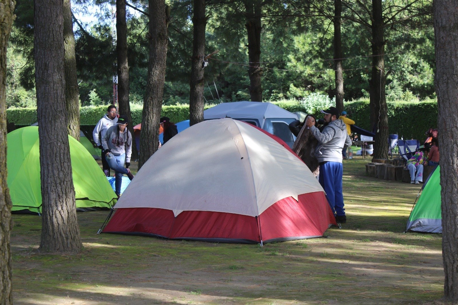 ¡No te pierdas el Campamento Familiar por un Planeta Verde en el Parque Ecológico Zacango!