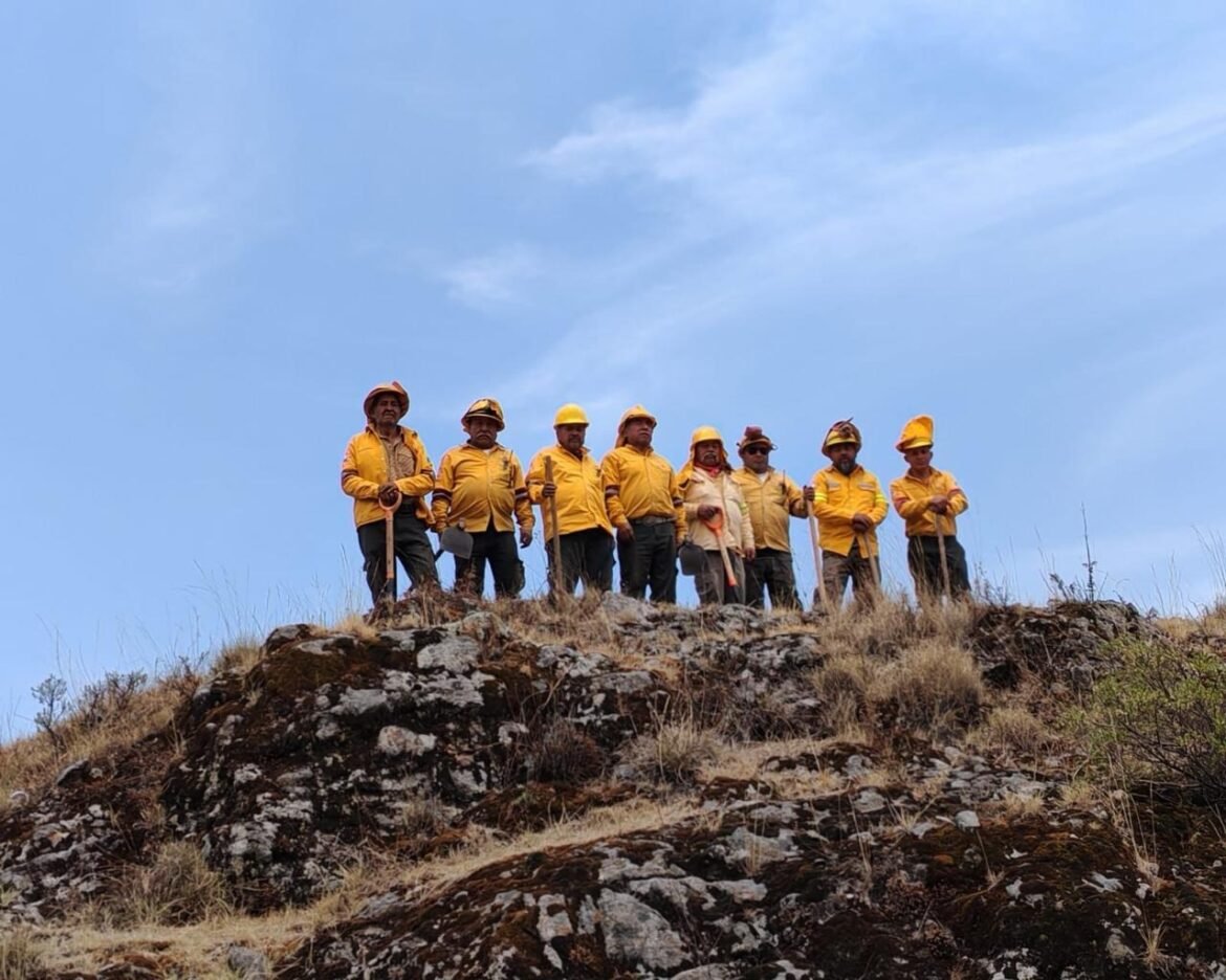 Despliegan 2 mil 200 combatientes de incendios forestales en Semana Santa