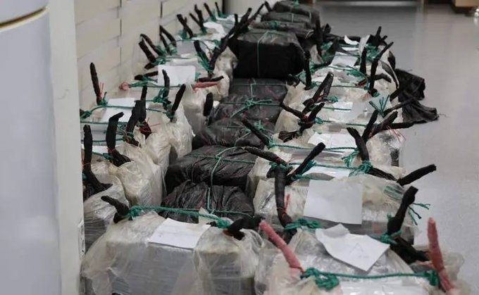 Interceptan buque con casi dos toneladas de cocaína que zarpó de México en Corea del Sur