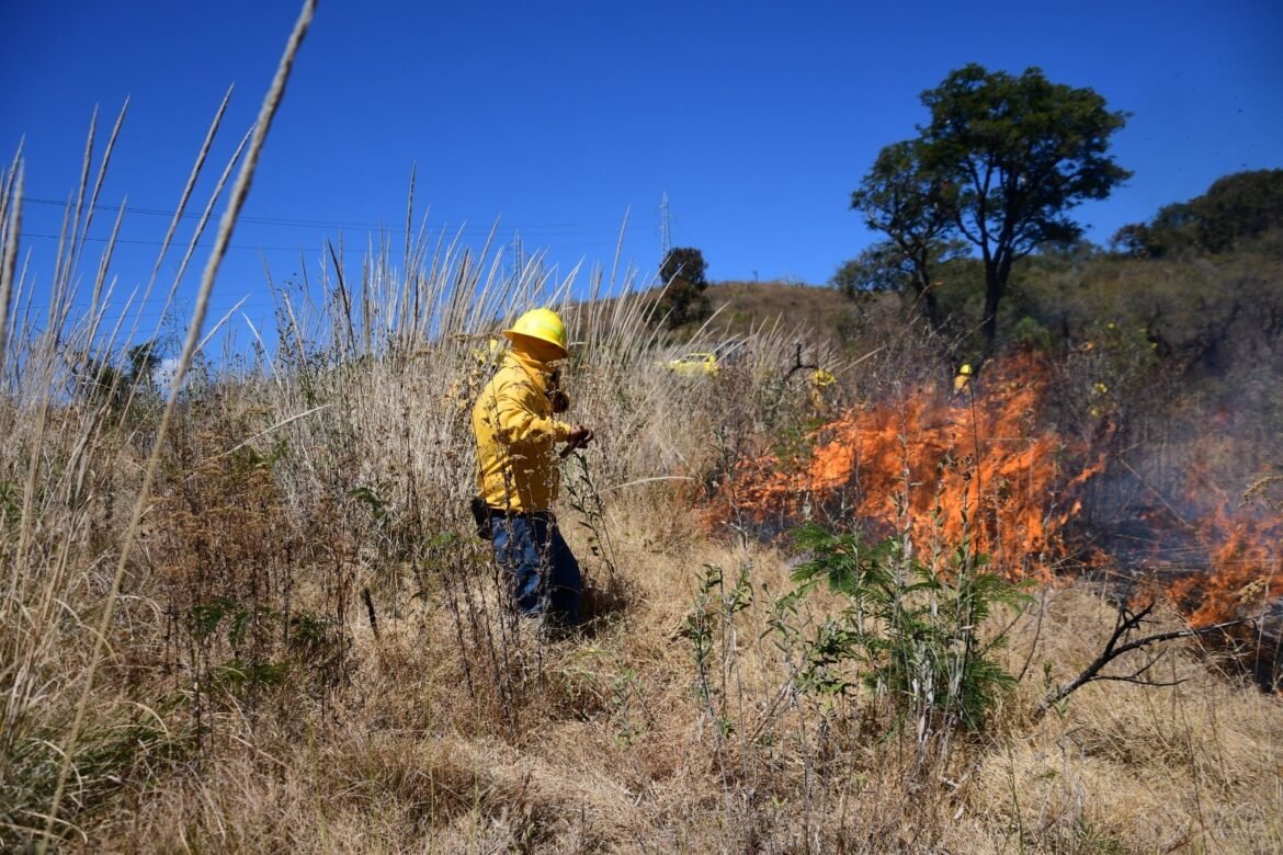 Refuerzan brigadas de atención a incendios forestales