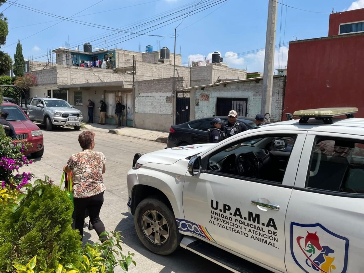 Denuncian maltrato animal en casa de Chimalhuacán; podría tipificarse como delito