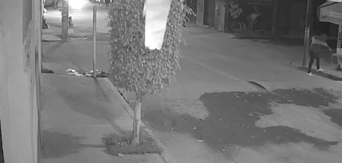 Indignación en Tulpetlac por asesinato a sangre fría de perrito comunitario