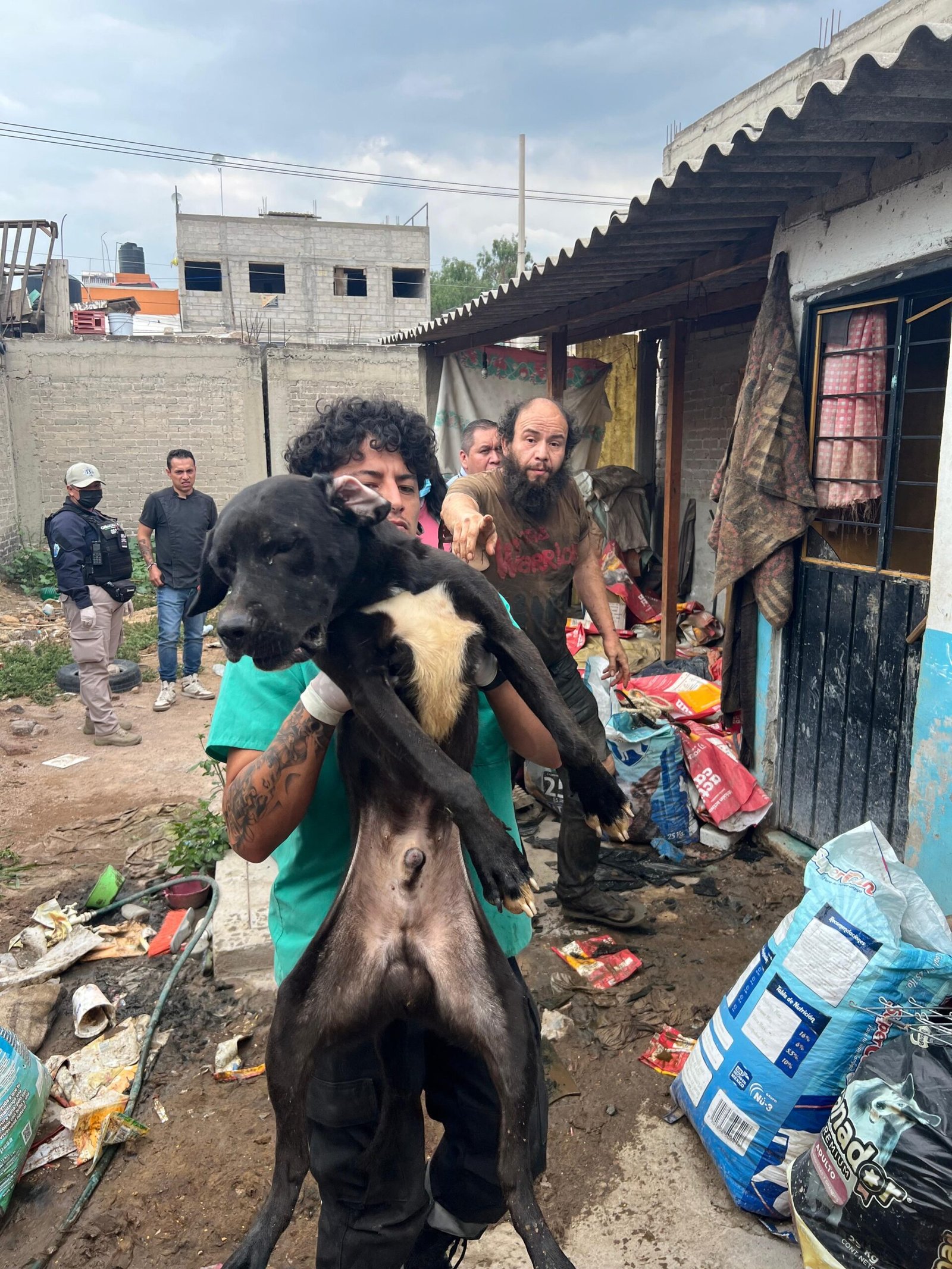 Rescatan a 32 animales de maltrato en Chimalhuacán