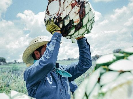Guanajuato impulsa el desarrollo social a través del comercio exterior