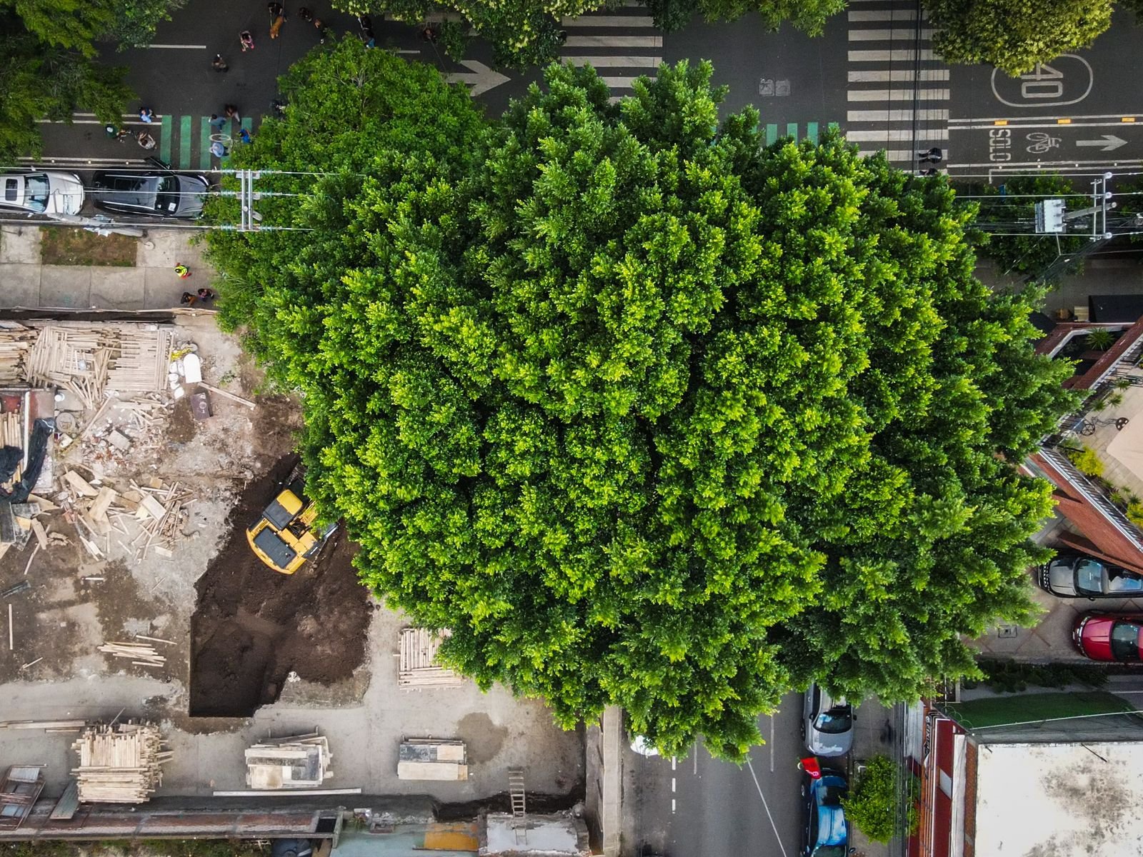 Vecinos acusan a constructora “Núcleo Urbano” de ecocidio en BJ