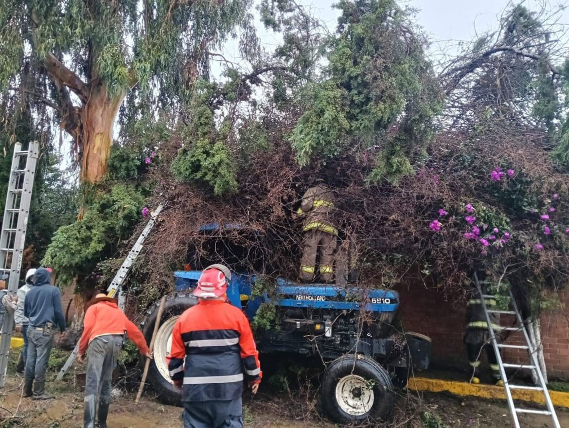 Granizada sorprende en Amecameca; vecinos y Protección Civil atienden caída de árboles