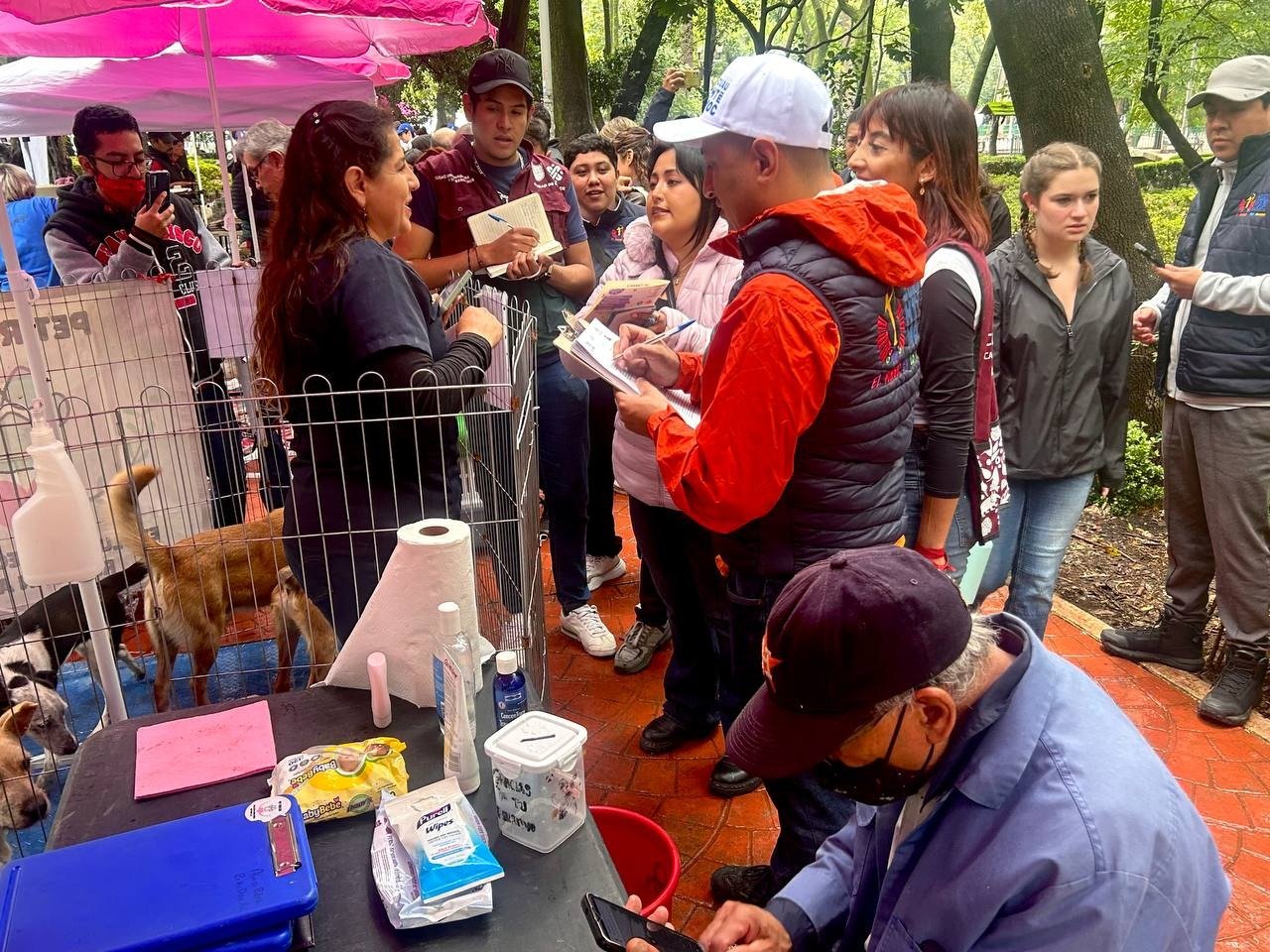 Realiza alcaldía Cuauhtémoc verificación a rescatistas de animales en Parque México