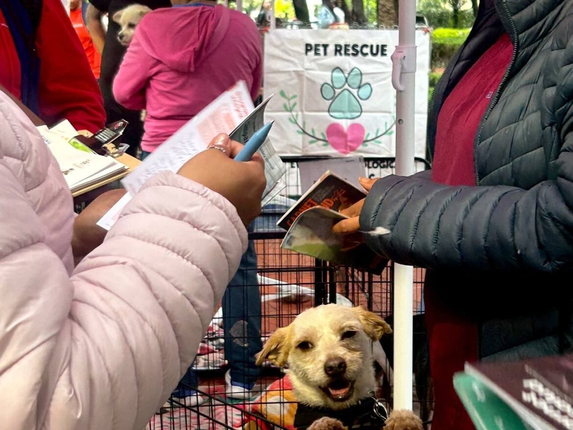 Realiza alcaldía Cuauhtémoc verificación a rescatistas de animales en Parque México