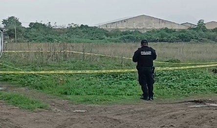 Hallan cuerpo devorado por fauna silvestre en zona de cultivo en Chalco