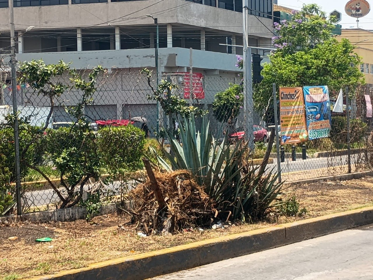 Vecinos de Chimalhuacán denuncian abandono en limpieza y mantenimiento urbano