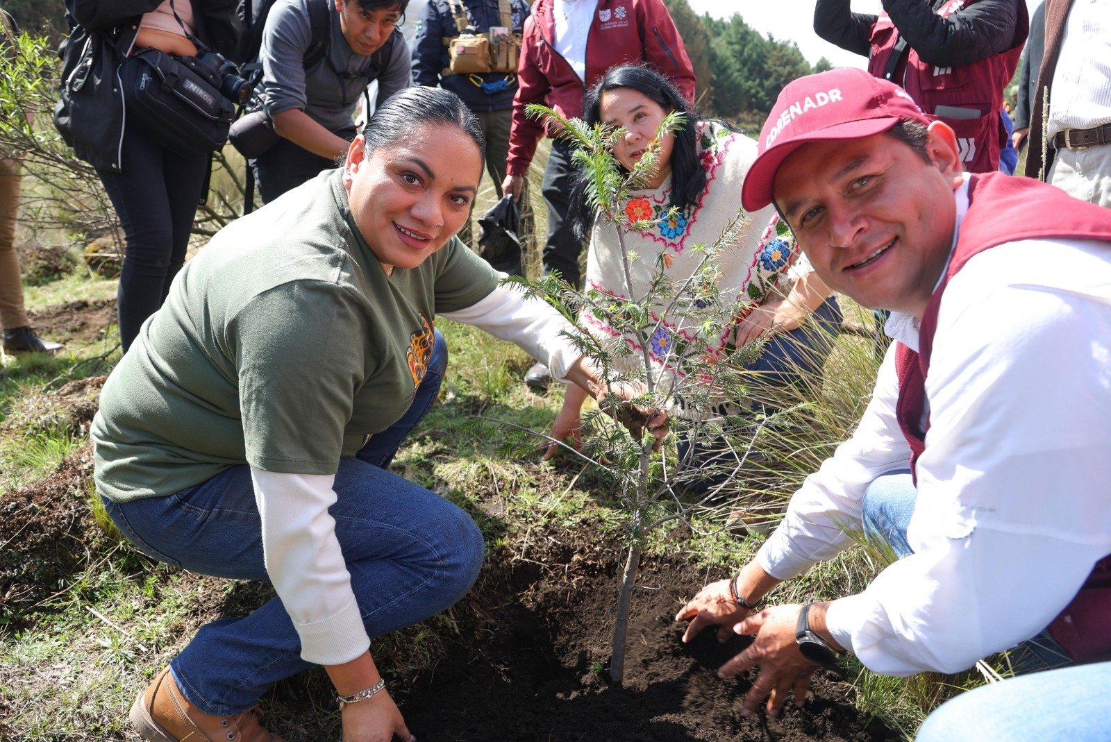 Alista Estado de México reforestación con más de 450 mil árboles en 24 municipios