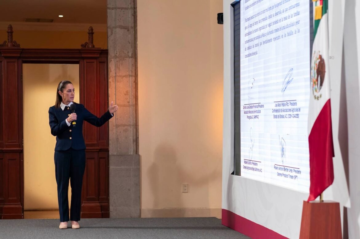 “No estamos de acuerdo” con el arancel al jitomate: Sheinbaum