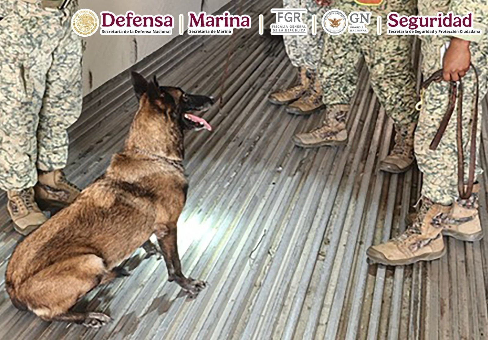 Aseguran más de una tonelada de metanfetamina en Baja California Sur