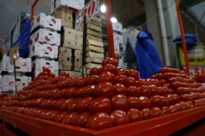 México busca nuevos mercados para jitomate tras arancel de EU