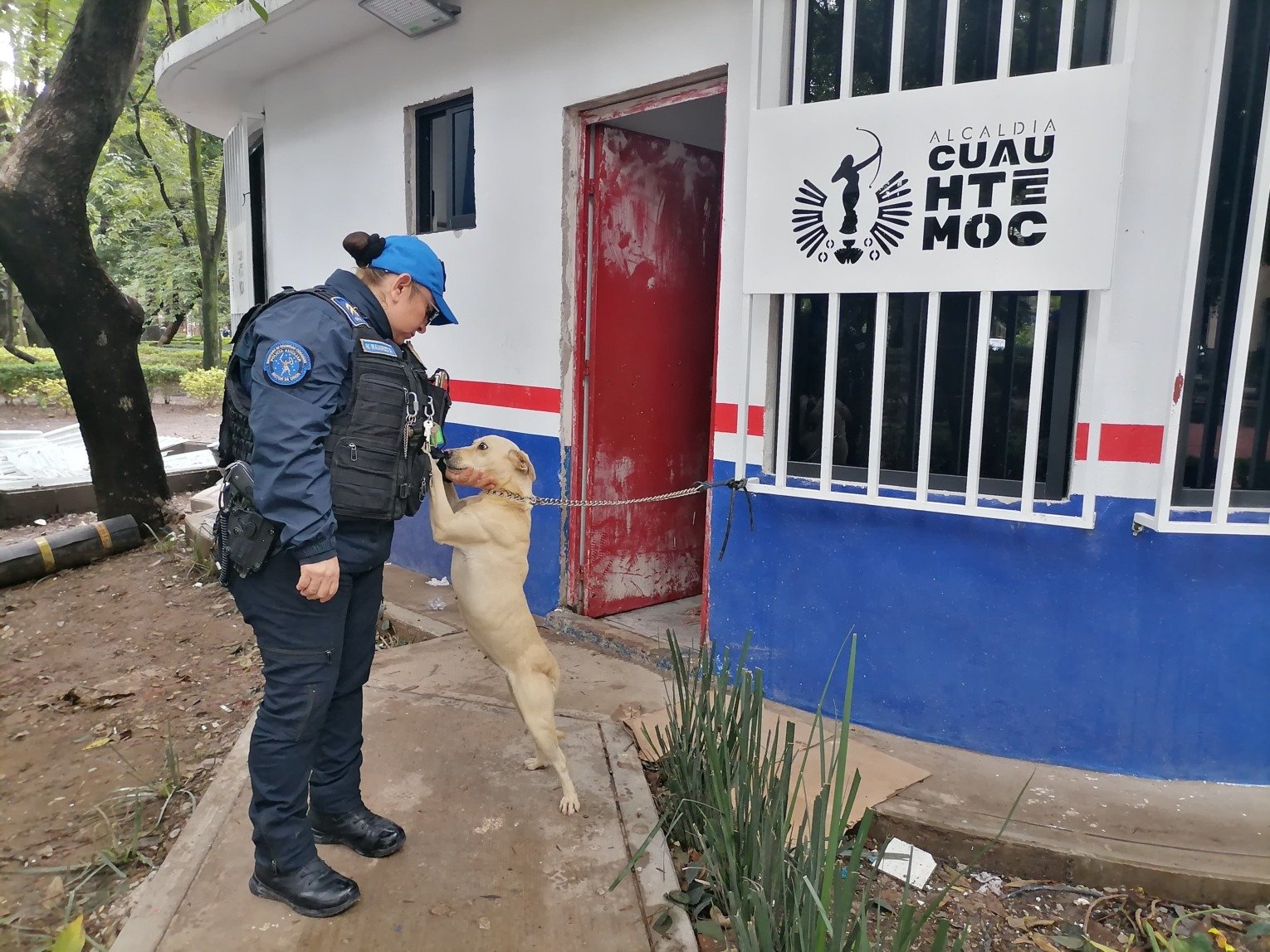 Llama Ale Rojo de la Vega a la tenencia responsable tras nuevo caso de abandono en Parque México