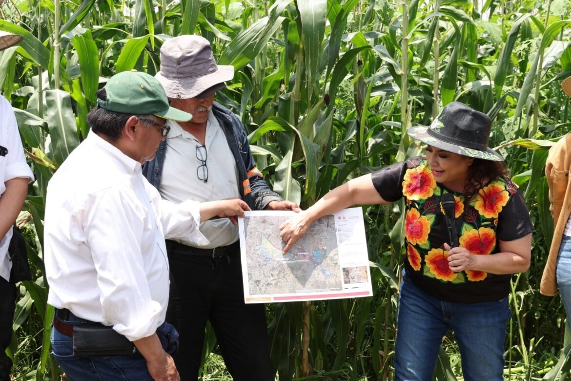 Anuncian Plan Estratégico para Recuperar la Zona Lacustre de Xochimilco y Tláhuac