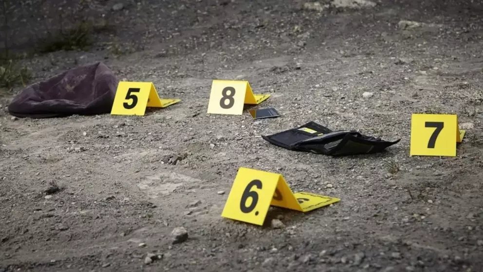 Seguridad en México: leves descensos en homicidios, pero con señales críticas de deterioro
