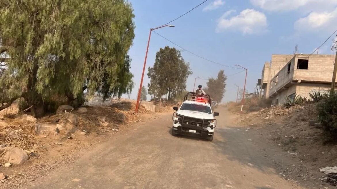 Han invadido 60% de la reserva ecológica en Los Reyes La Paz