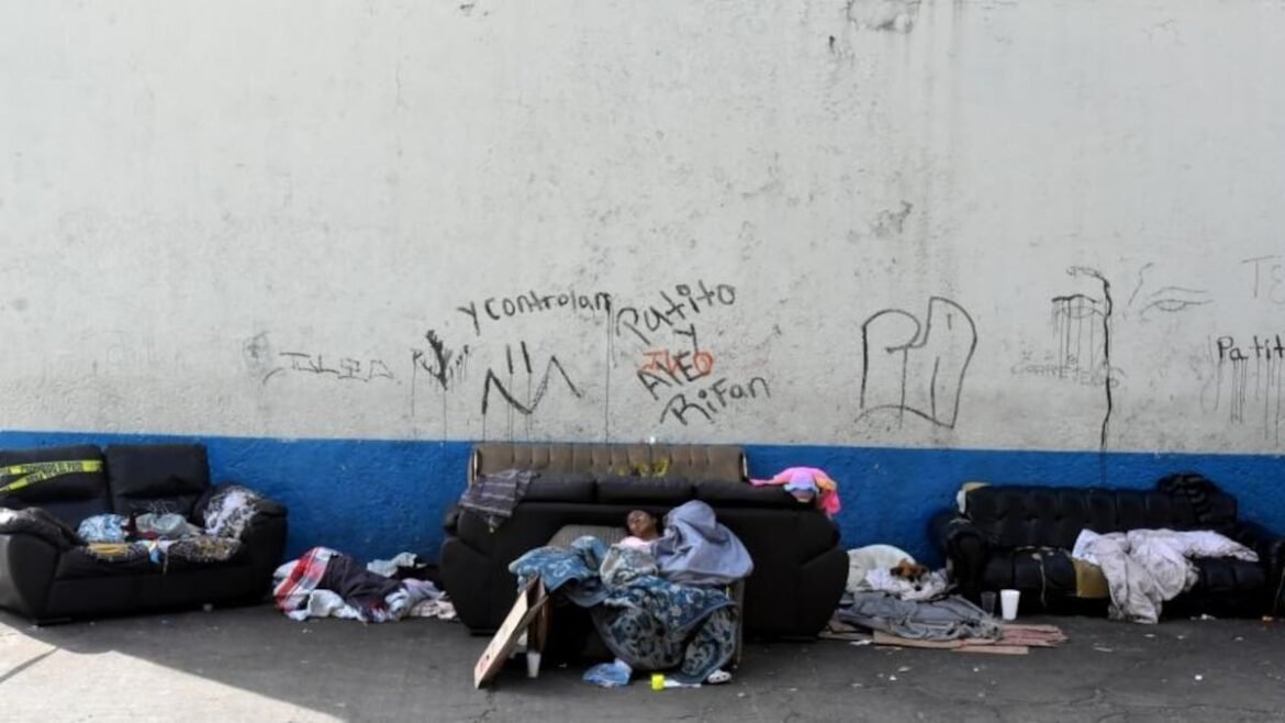 Mendicidad forzada en las calles de México - Opinión